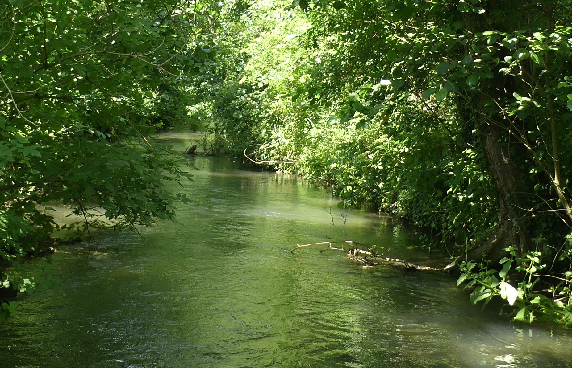 Balade à Pernois