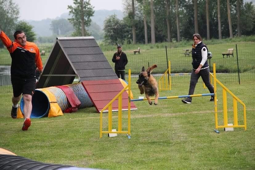 concours canin 2022