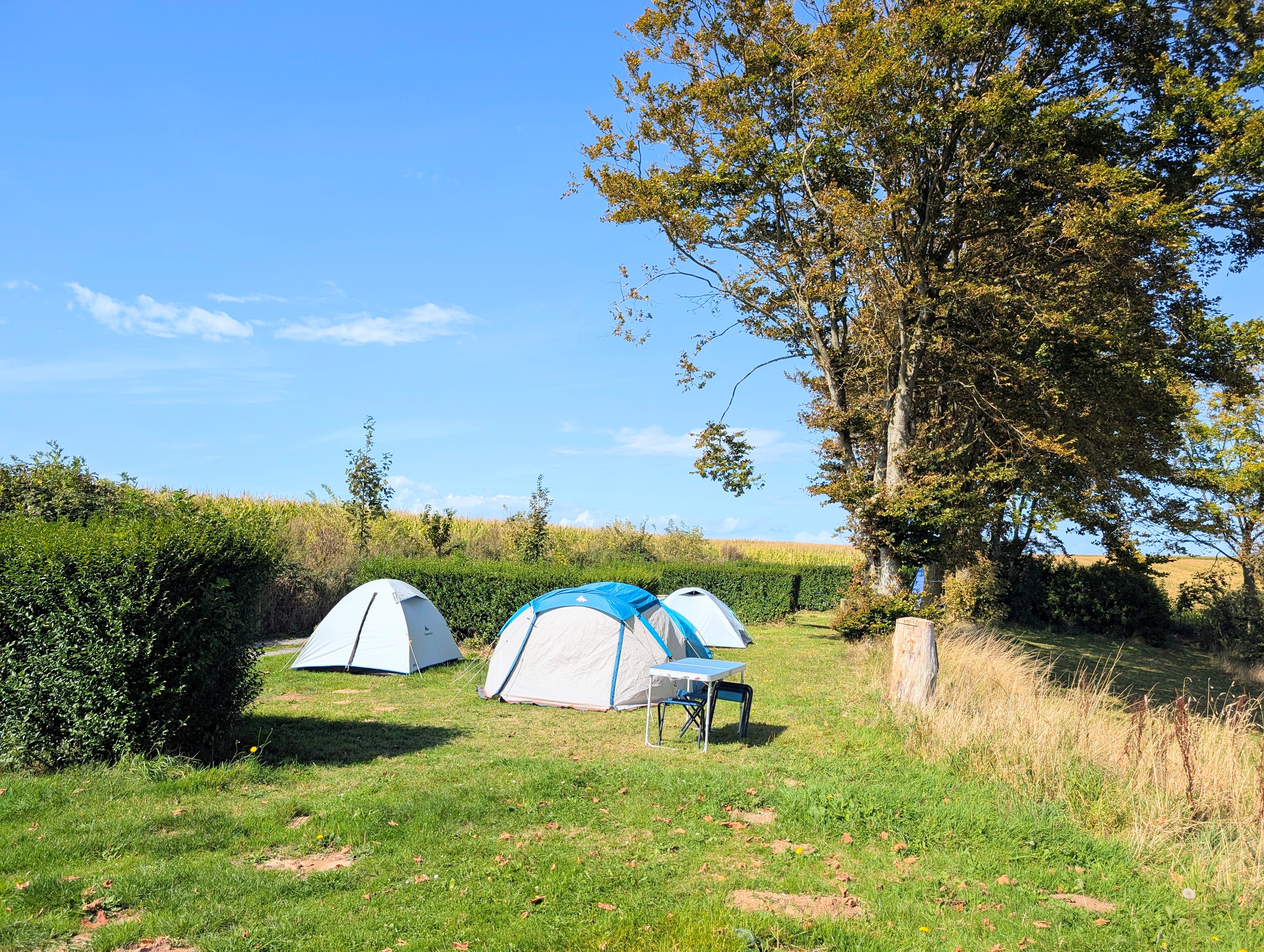 campingtisch set klappbar Campingtisch Set GREEN HILL Klapptisch Bank Aluminium klappbar Koffert   bruka24