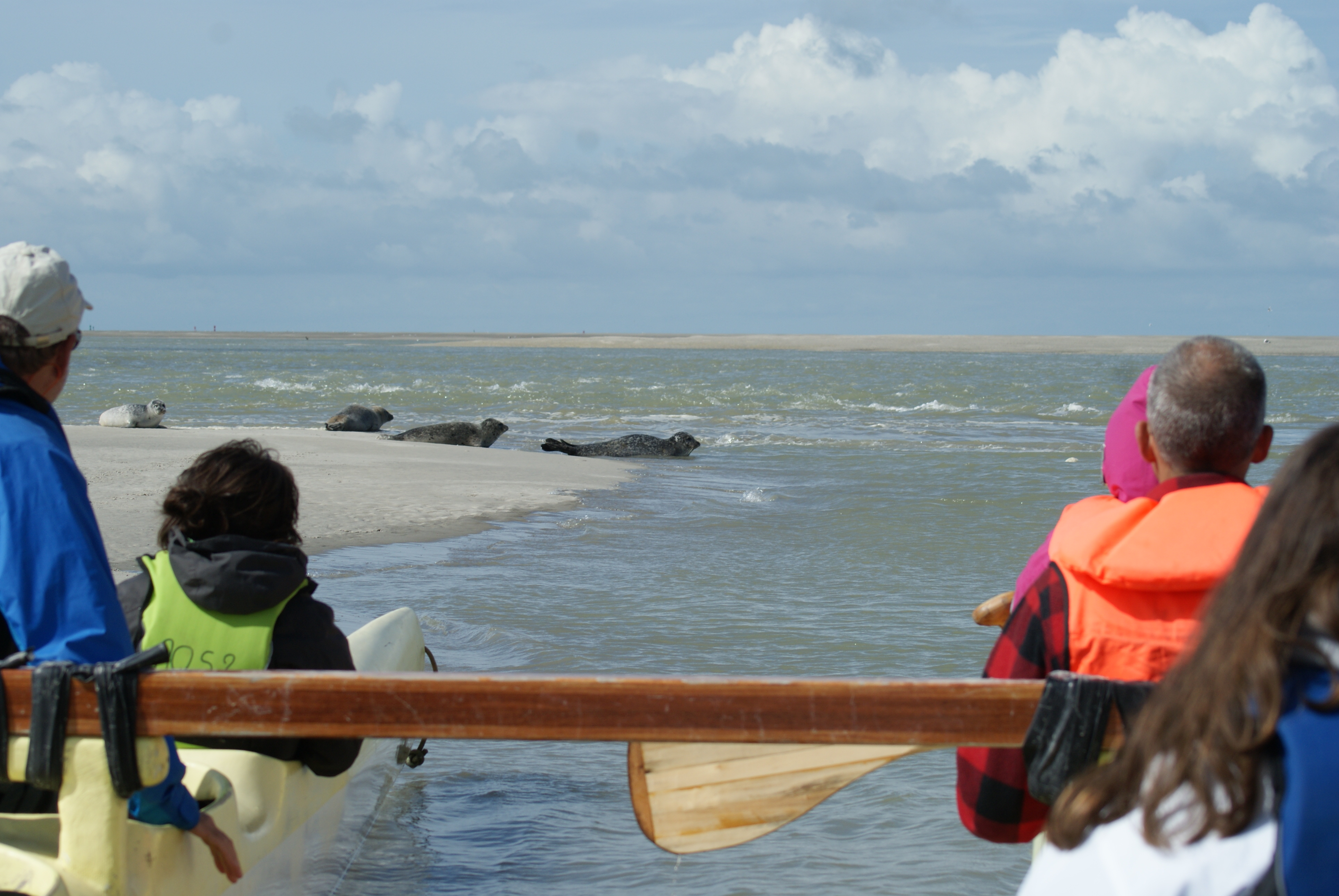 Va'a en Baie - Activity - SAINT-VALERY-SUR-SOMME - Somme Tourisme