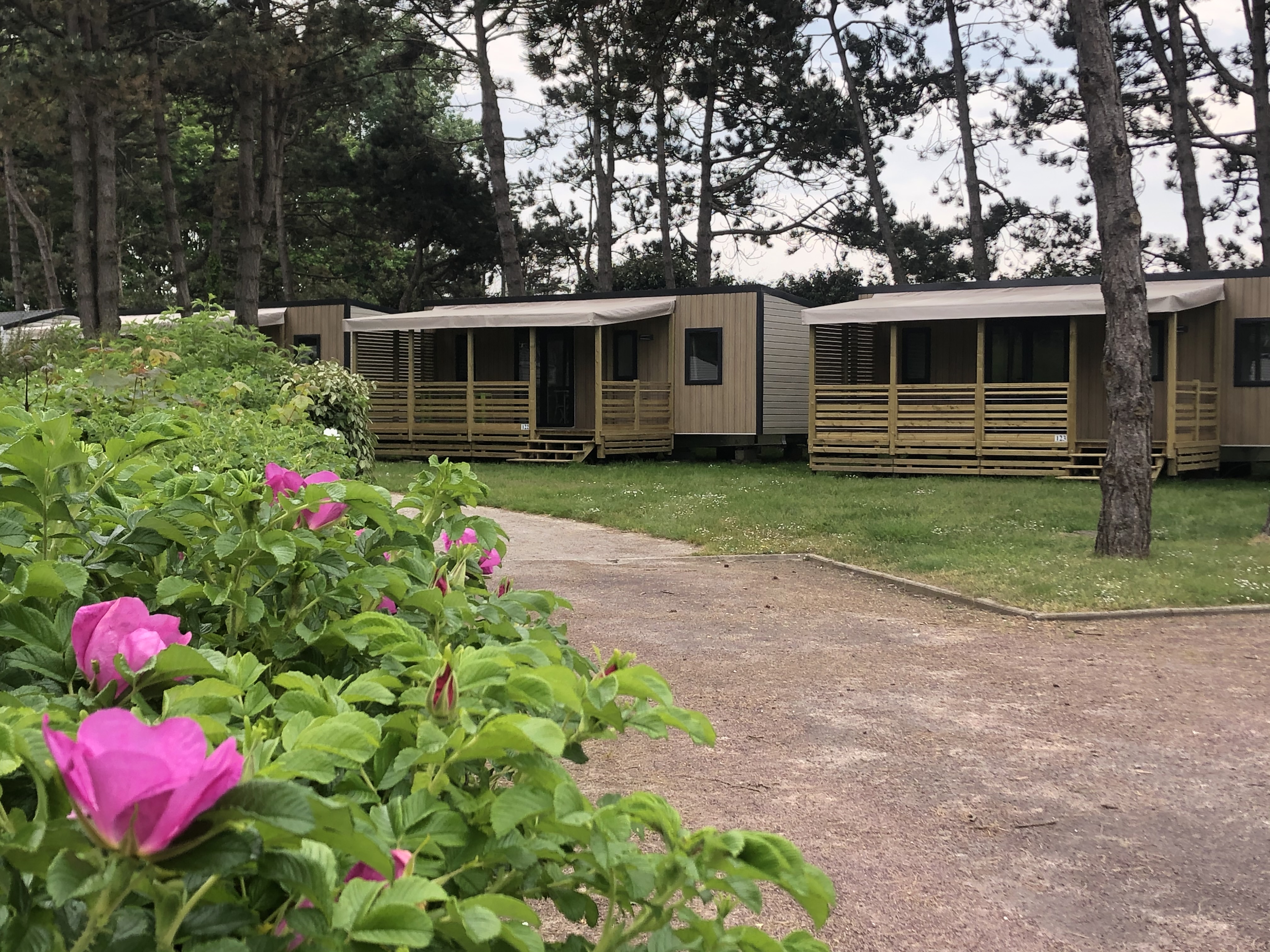 Flower Camping Le Rompval - Lodging - MERS-LES-BAINS - Somme Tourisme