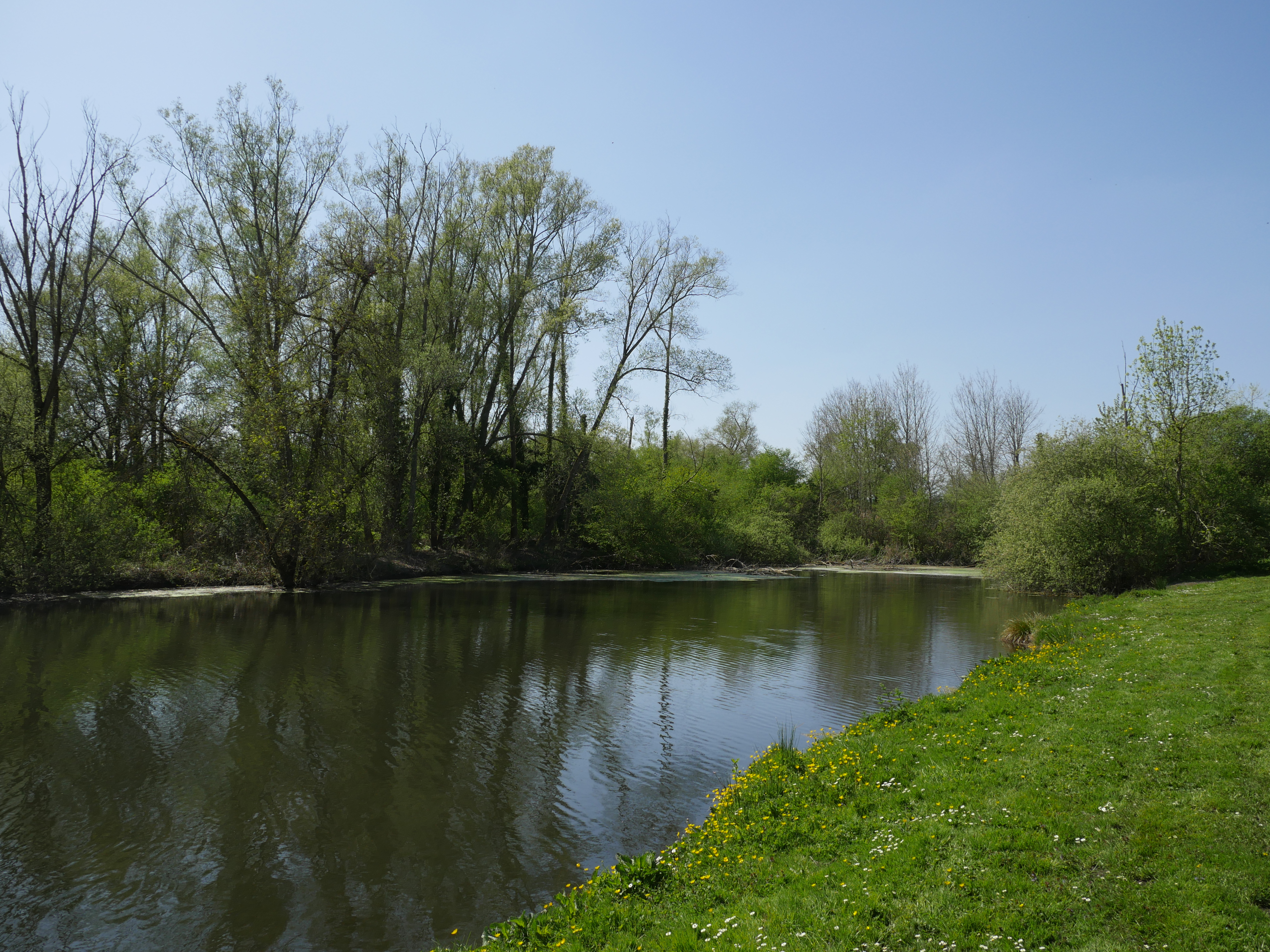 Camping des Cygnes - Hbergement - AMIENS - Somme Tourisme